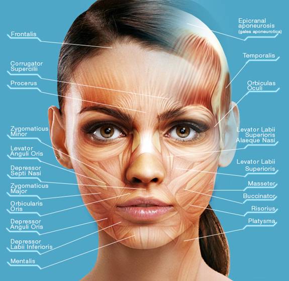 Preventive Botox – everything you need to know